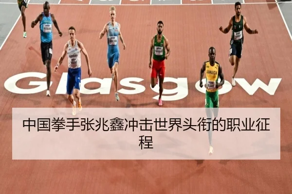 中国拳手张兆鑫冲击世界头衔的职业征程