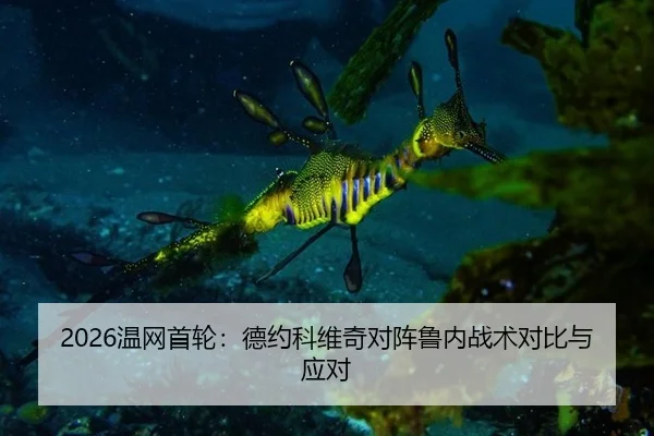 wen-wang-shou-lun-de-yue-ke-wei-qi-dui-zhen-lu-nei-zhan-shu-dui-bi-yu-ying-dui-3-882.jpg