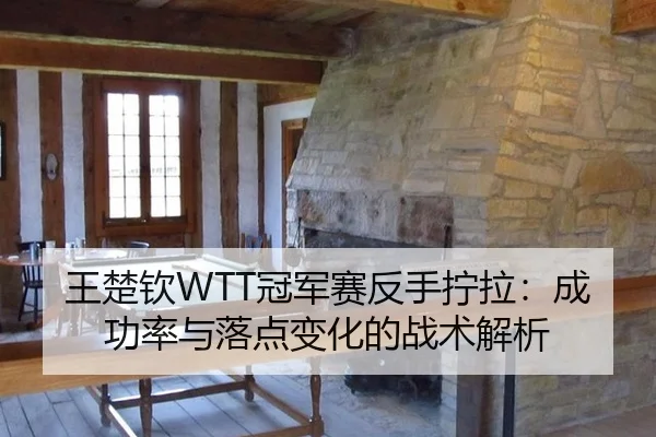 王楚钦WTT冠军赛反手拧拉：成功率与落点变化的战术解析